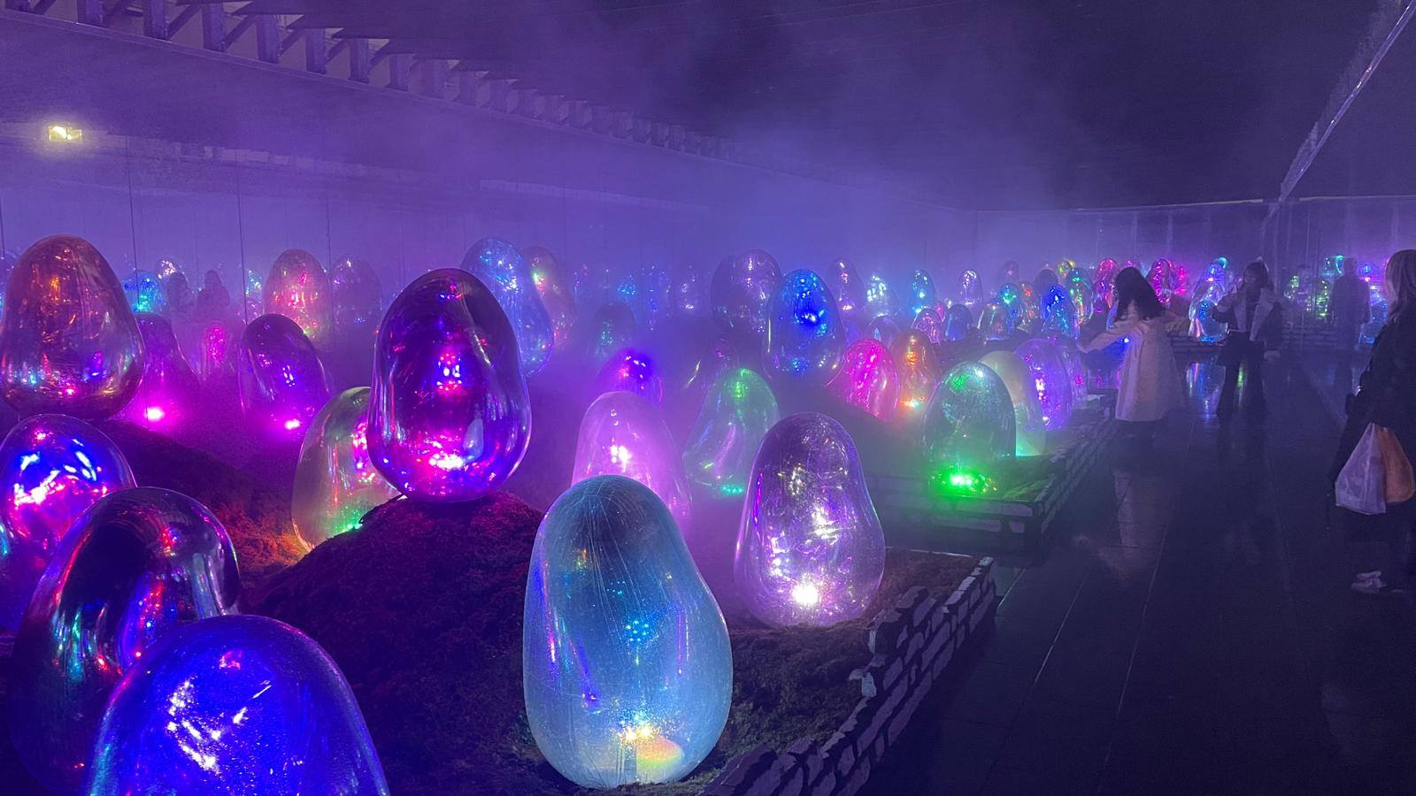 אובייקטים מוארים וצבעוניים בחלל האמנות של teamLab Planets